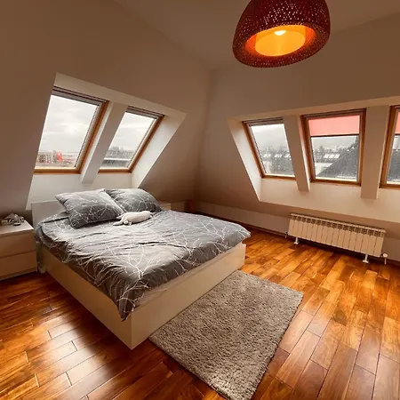 Vitosha Vista Apartment *